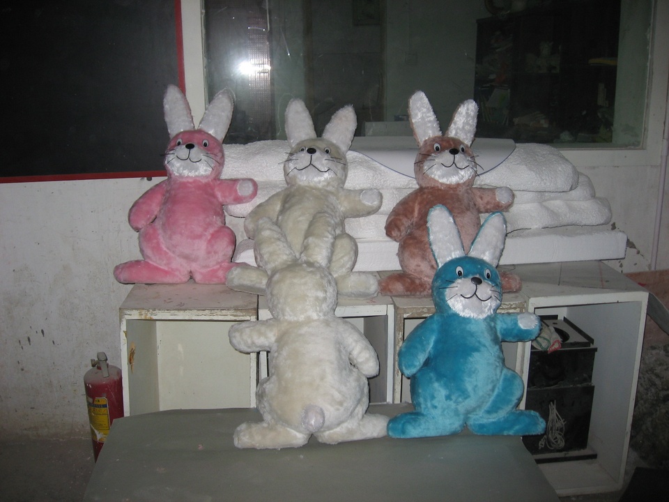 Image 16