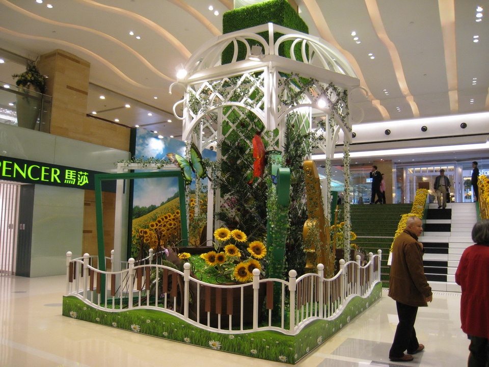 Image 11