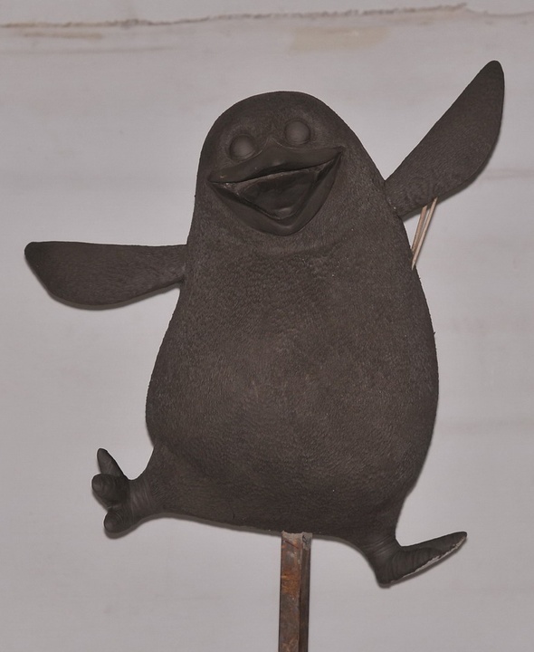 Image 14